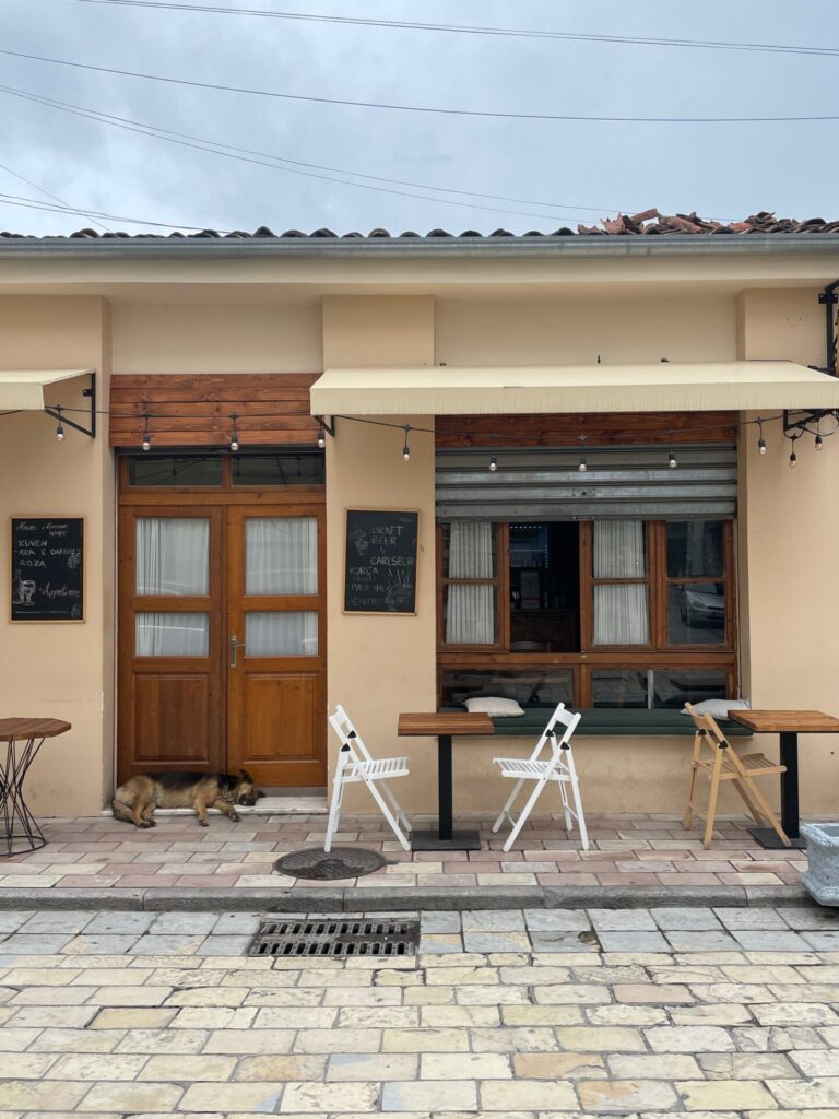 Where to stay in Shkoder - House in Shkoder
