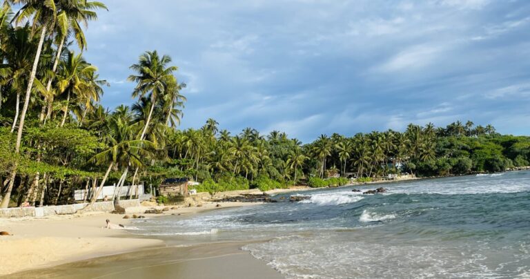 The 14 Best Restaurants in Hiriketiya Beach (Updated 2025)