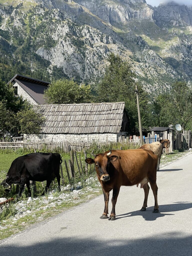 Theth to Valbona Hike: The Best Guide to Hiking Theth to Valbona