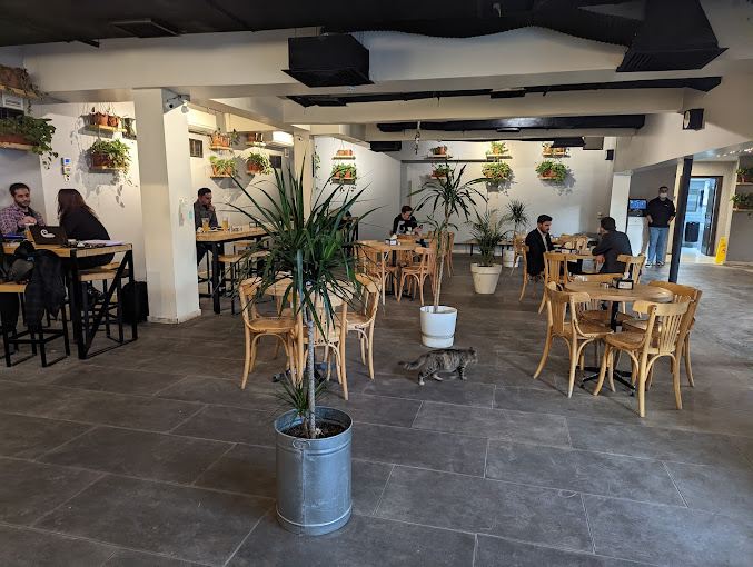 The Best Cafes to Work from in Amman, Jordan: My Top 7 Spots for Remote Work