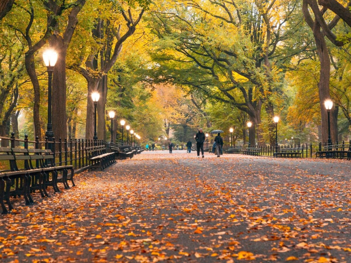 Autumn in New York: The Ultimate Seasonal Guide for 2024