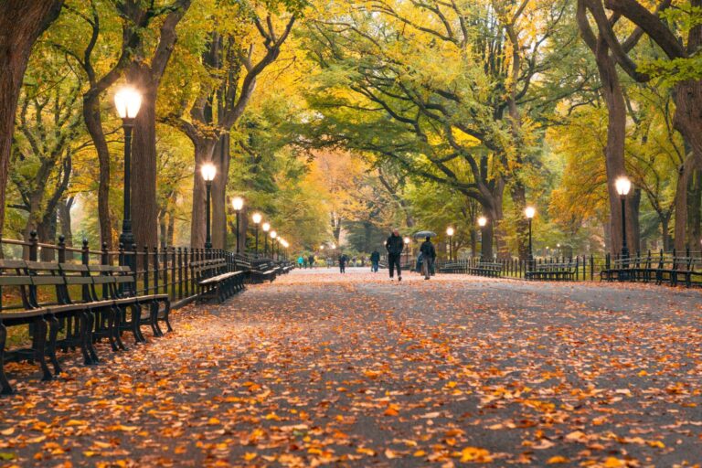 Autumn in New York: The Ultimate Seasonal Guide for 2024