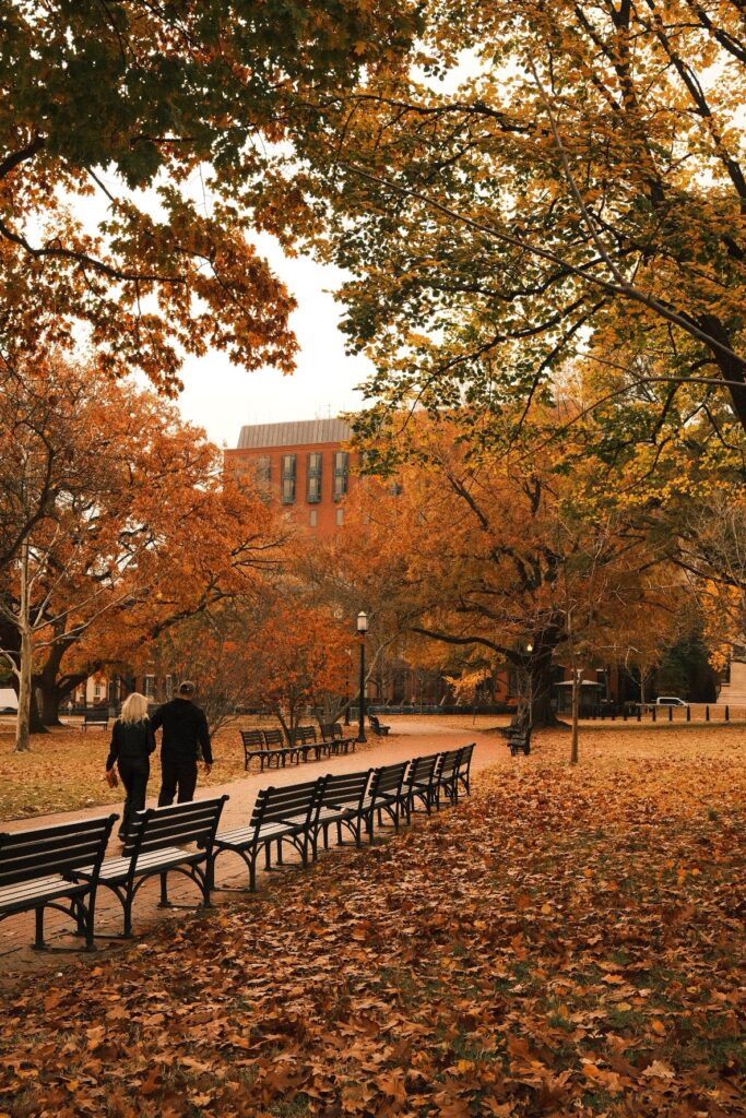 Autumn in New York: The Ultimate Seasonal Guide for 2024