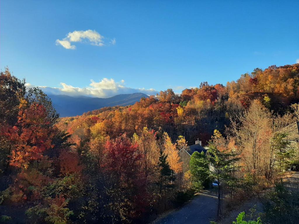 Where to Stay in Gatlinburg, Tennessee: The Perfect Base to Explore the Great Smoky Mountains