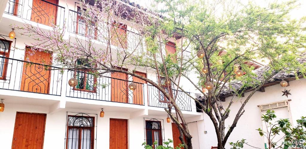 Where to Stay in San Cristobal de las Casas, Mexico: The Best Hotels & TOP 4 Areas