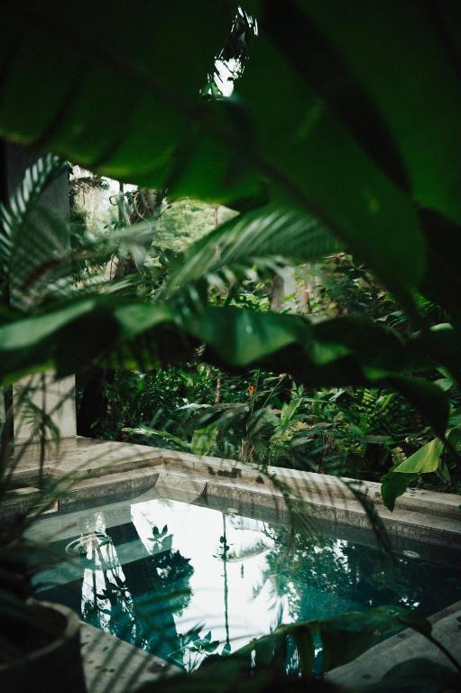 Where to Stay in Hikkaduwa Sri Lanka: A Local's Guide to the 12 Best Hotels & Areas