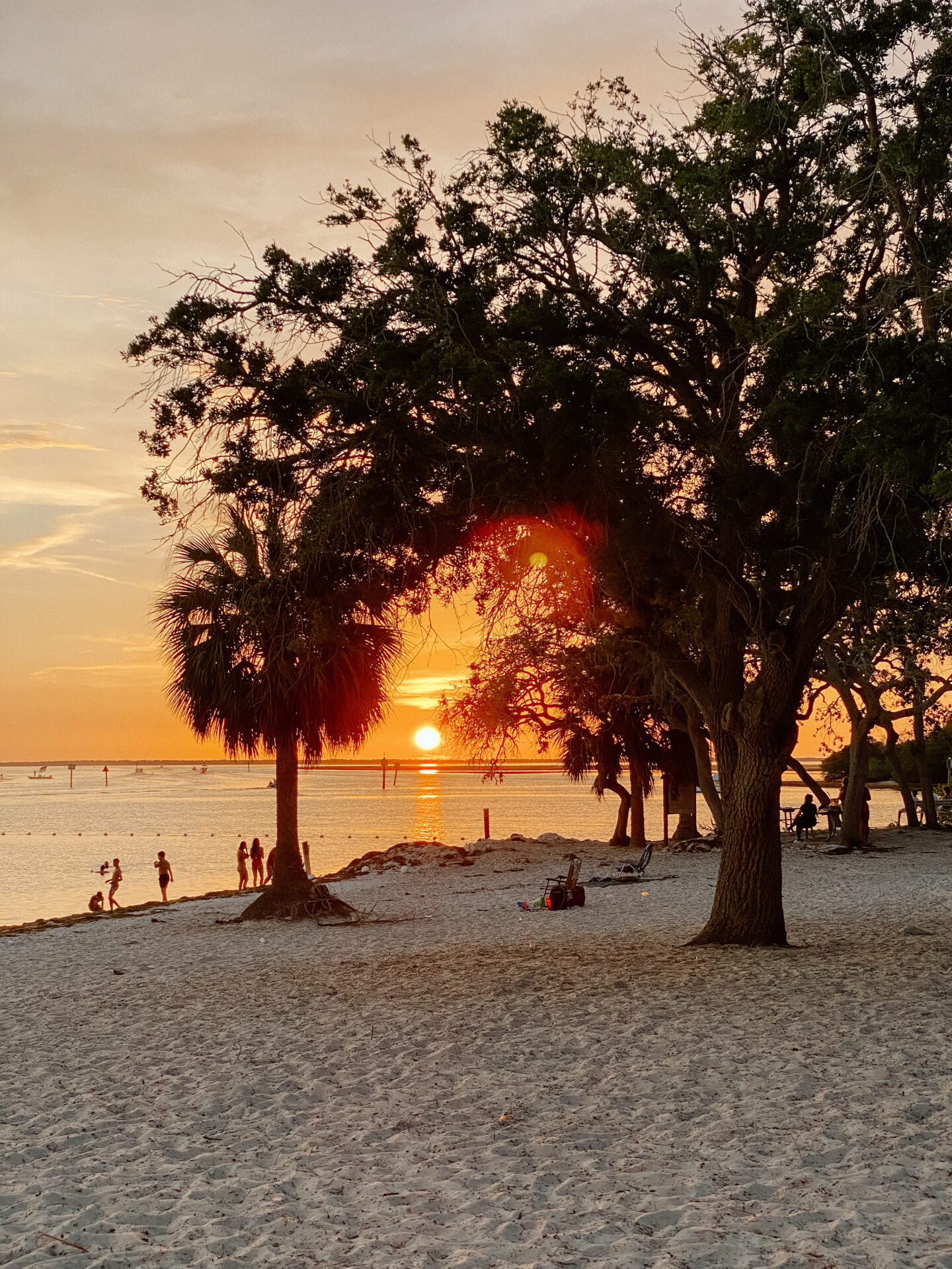 Where to Stay in Siesta Key Florida: 14 Best Hotels & Areas