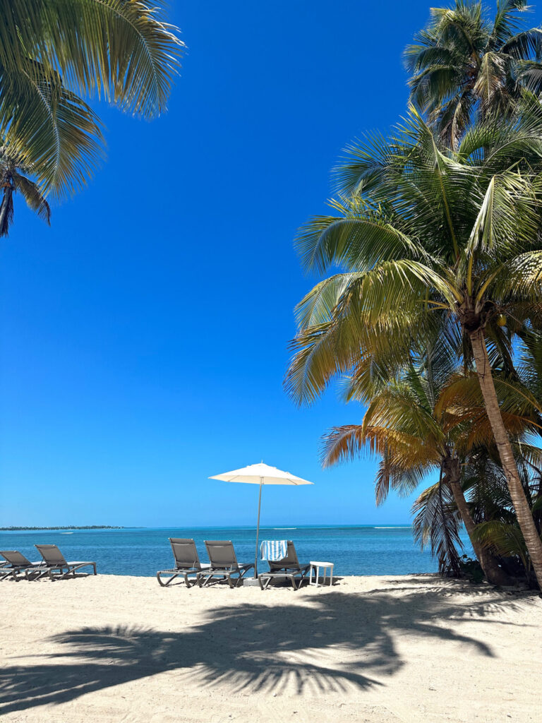 Top 14 Spring Break Destinations for Families in 2025