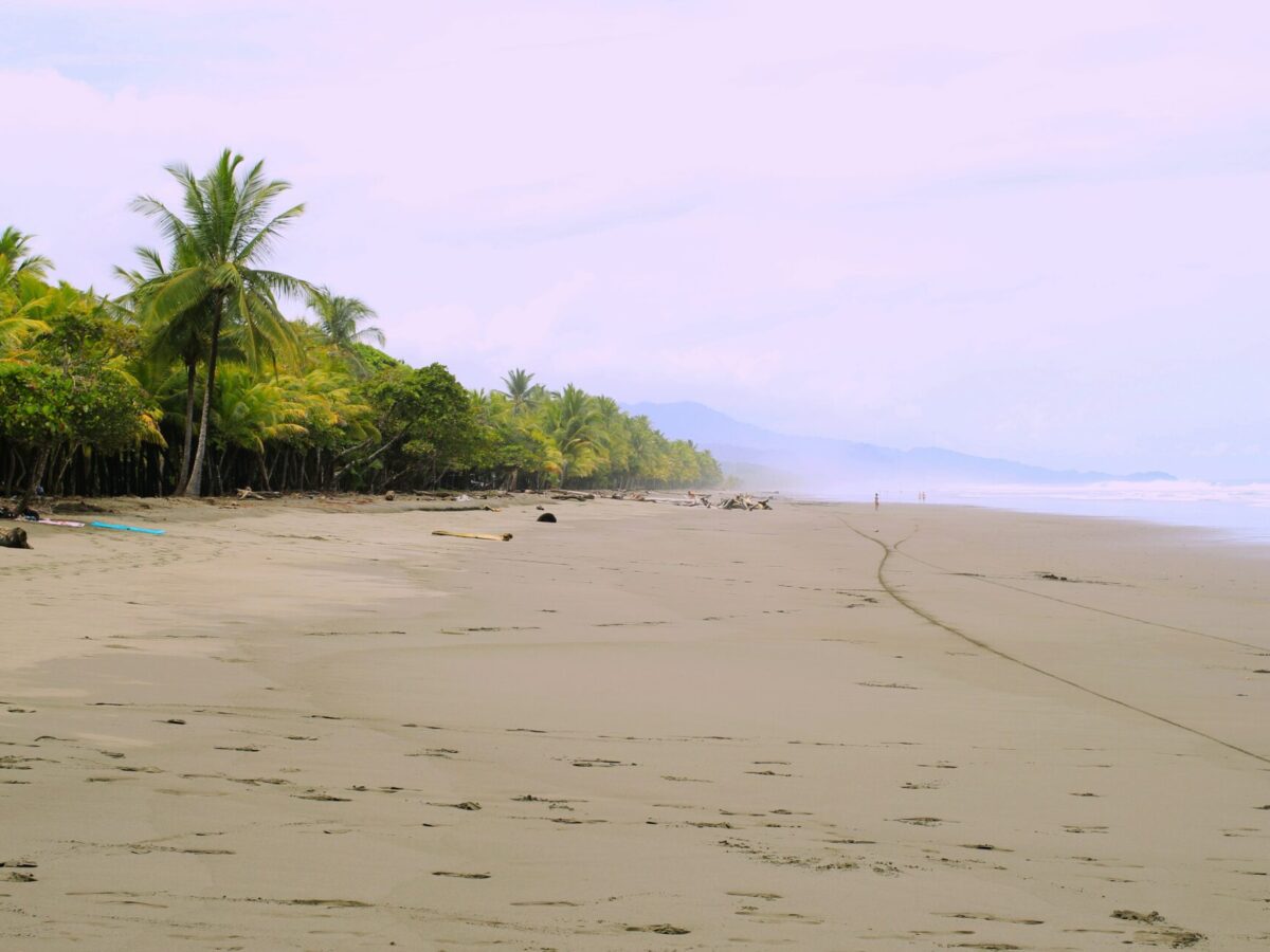 Where to Stay in Puerto Viejo, Costa Rica: A Guide to the 12 Best Hotels & Top Areas  