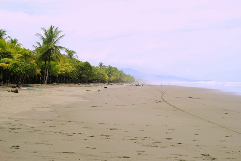 Where to Stay in Puerto Viejo, Costa Rica: A Guide to the 12 Best Hotels & Top Areas  