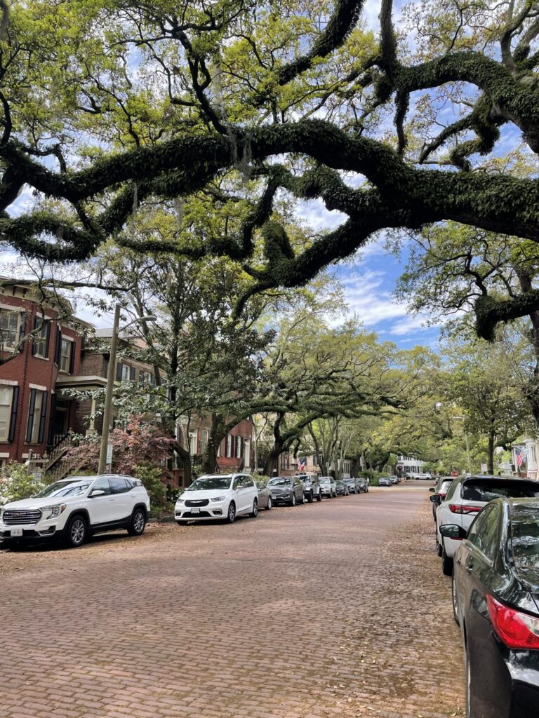 Top 14 Spring Break Destinations for Families in 2025
