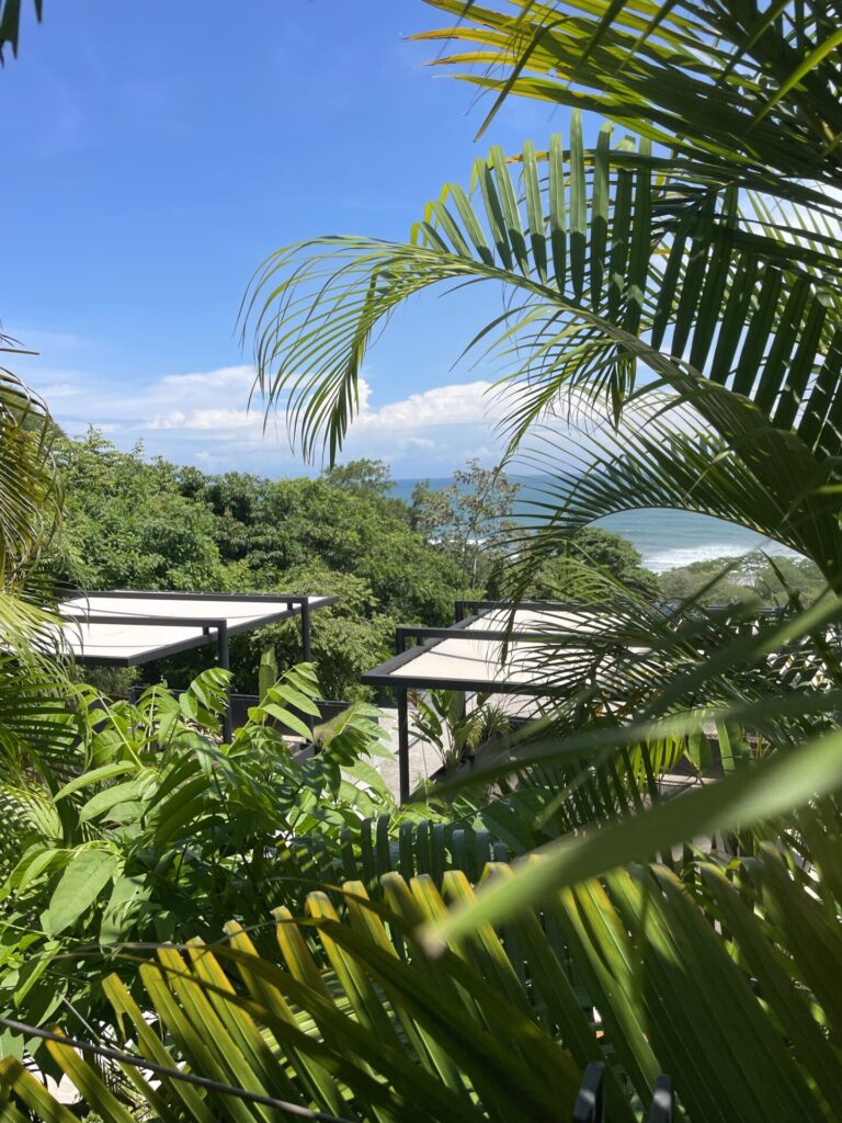 Where to Stay in Puerto Viejo, Costa Rica: A Guide to the 12 Best Hotels & Top Areas  