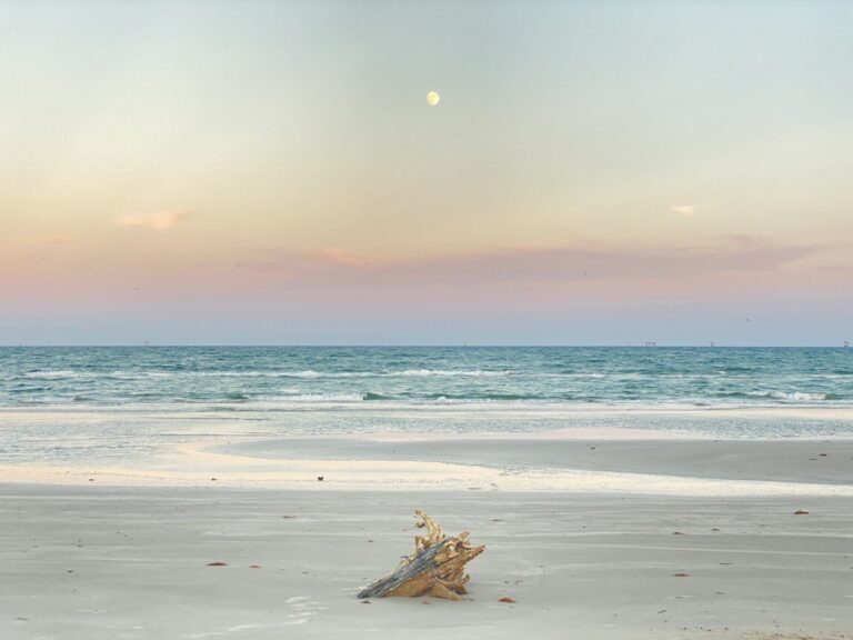 The 6 Best Beaches on Anna Maria Island: A Local’s Guide + Map!