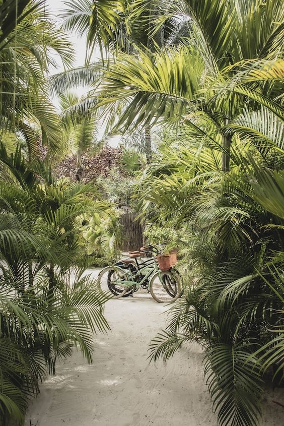 Top 10 Spring Break Destinations in Florida for Families in 2025