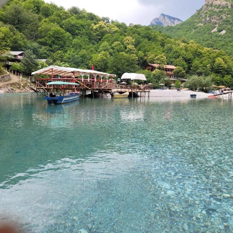 The Perfect Guide to Visiting Lumi i Shales Albania: Everything You Need to Know Before You Go (2025)