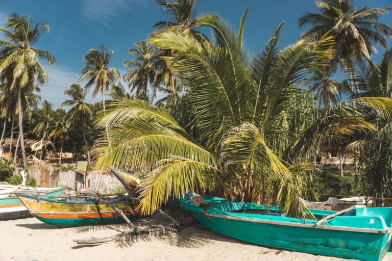 The Best Time to Visit Trincomalee for Every Activity (2025)