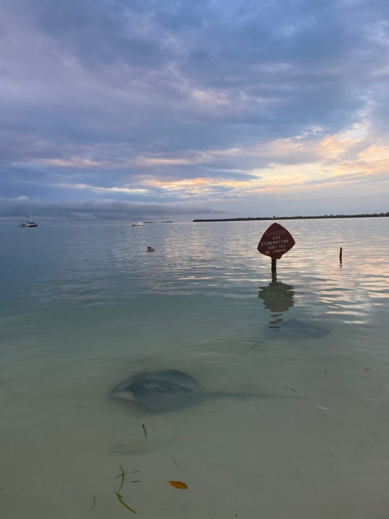12 Epic Things to Do in Caye Caulker + 3 That Aren’t Worth It
