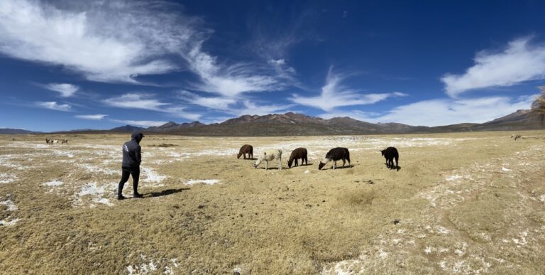 My 8 TOP Things to Do in Arequipa, Peru: Why I Think Arequipa is Underrated