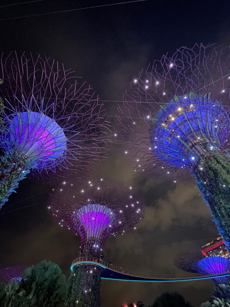My Ultimate 2 Days in Singapore Itinerary – What I Loved & What I’d Do Next Time (2025)