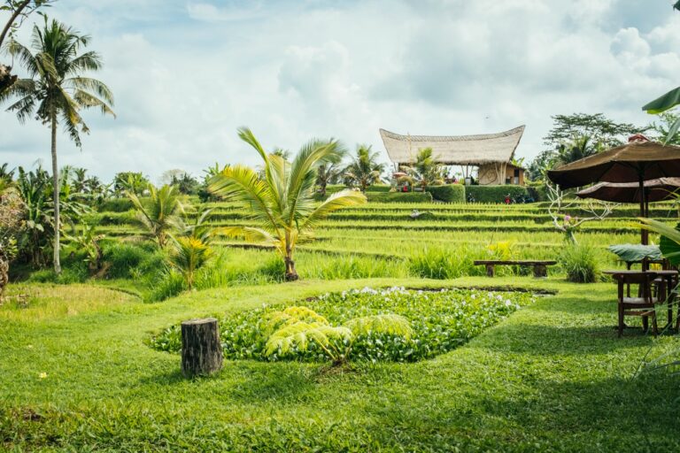 What to Do in Ubud: 10 Things I Loved & 7 Things You Can Skip (2025)