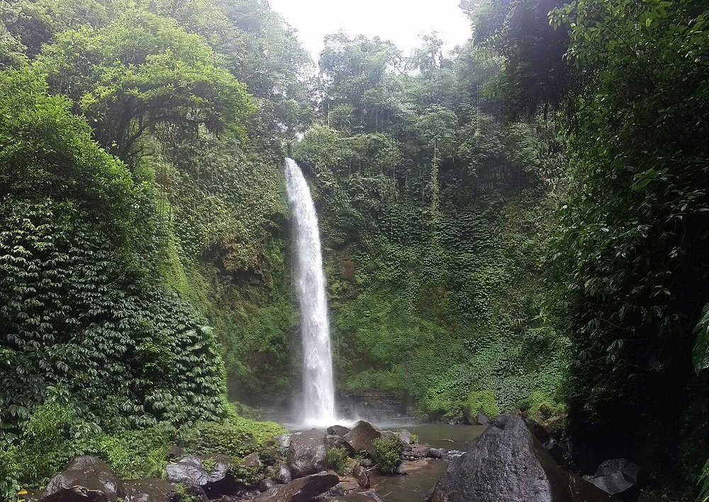 What to Do in Ubud: 10 Things I Loved & 7 Things You Can Skip (2025)