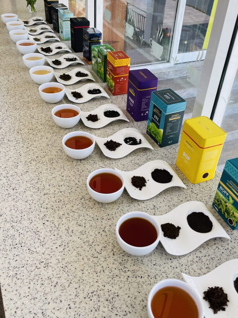 The Best Nuwara Eliya Tea Plantation Experience: Our Tuk Tuk Tour Review (2025)