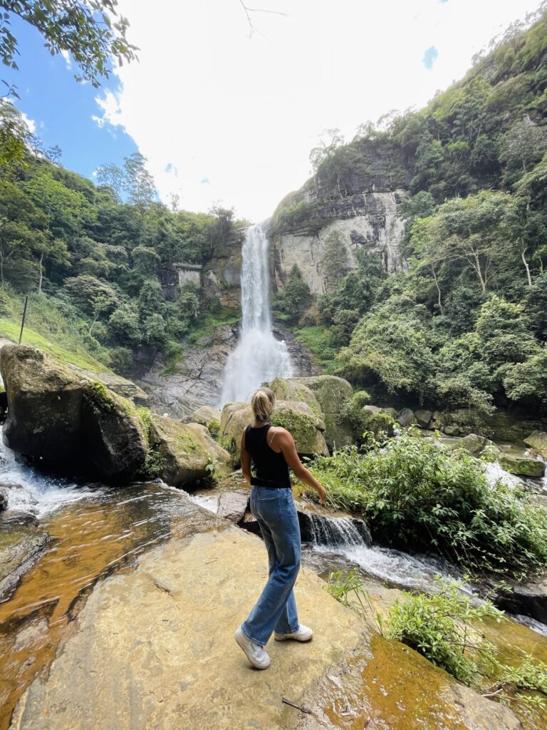 The Best Nuwara Eliya Tea Plantation Experience: Our Tuk Tuk Tour Review (2025)