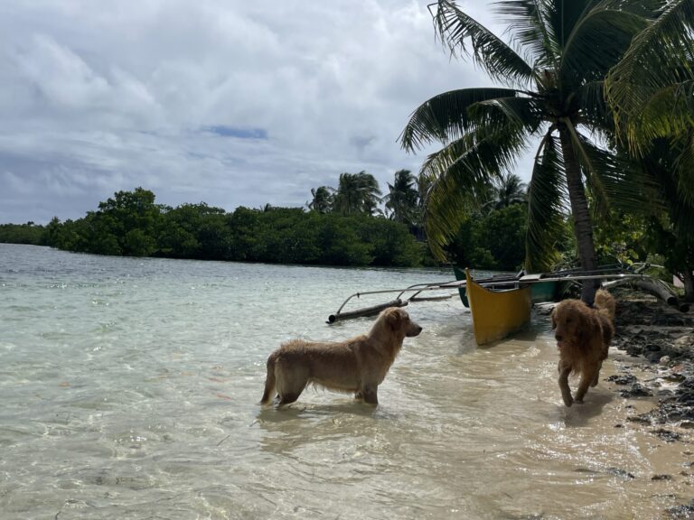 The Best Time to Visit Siargao (And When I’d Go Again in 2025)