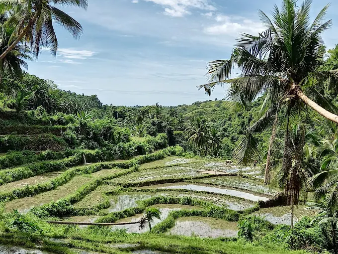 13 Awesome Things to Do in Bohol: My Guide to the Best Experiences