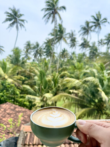 The 11 BEST Restaurants in Weligama Sri Lanka: A Guide to My Favorite Foodie Spots