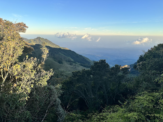 6 BEST Things to Do in Nuwara Eliya: From High Tea to Misty Mountain Views