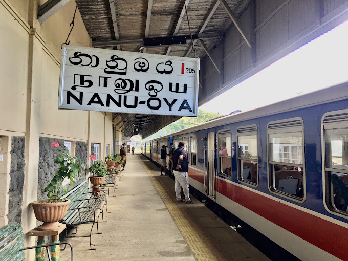 A Mini Guide on Taking the Train from Nuwara Eliya to Ella: Everything You Need to Know in 2025