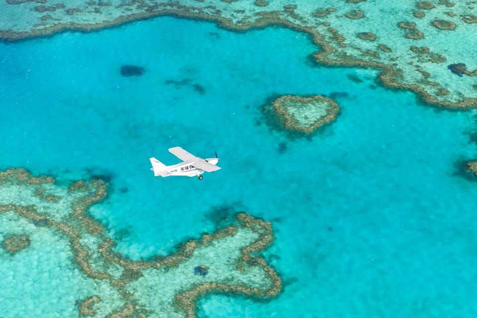 How to Get to Whitehaven Beach Australia: A Quick Breakdown + How I Did It!