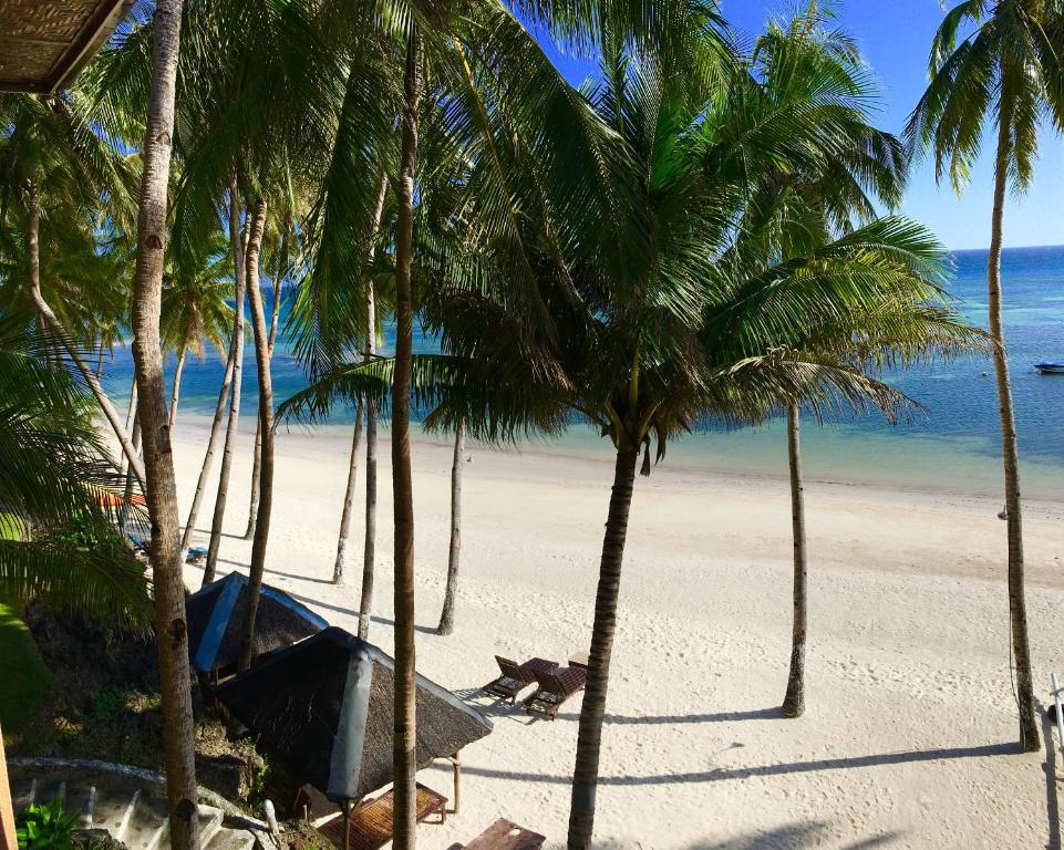 Your Ultimate Guide to the 5 Best Beach Resorts in Anda Bohol