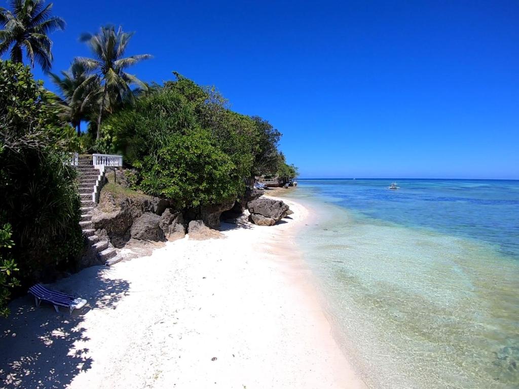 Your Ultimate Guide to the 5 Best Beach Resorts in Anda Bohol