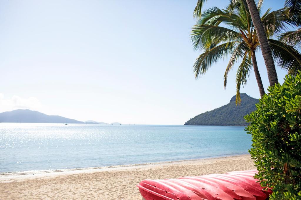 Best Time to Visit Whitsundays Islands: A Month-by-Month Breakdown 2025