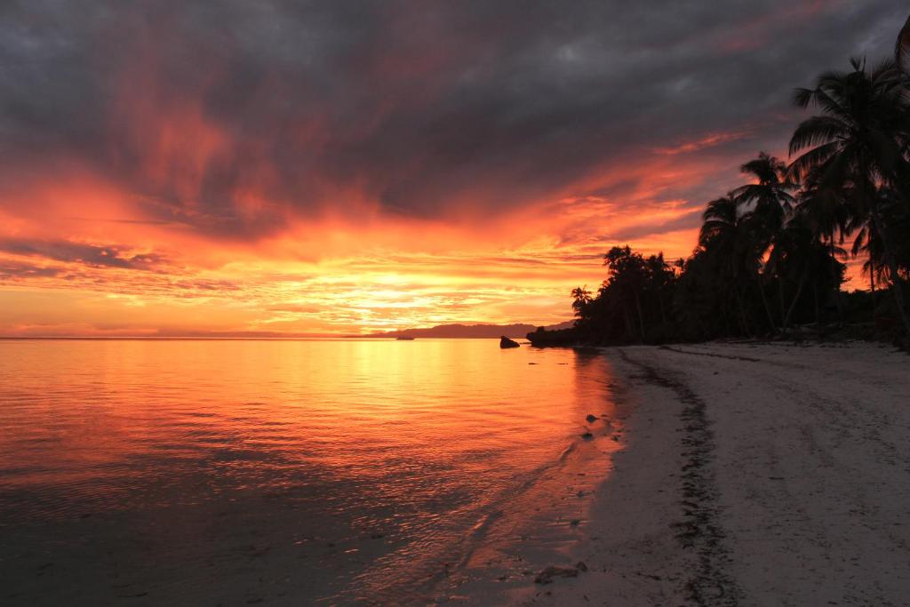 Your Ultimate Guide to the 5 Best Beach Resorts in Anda Bohol