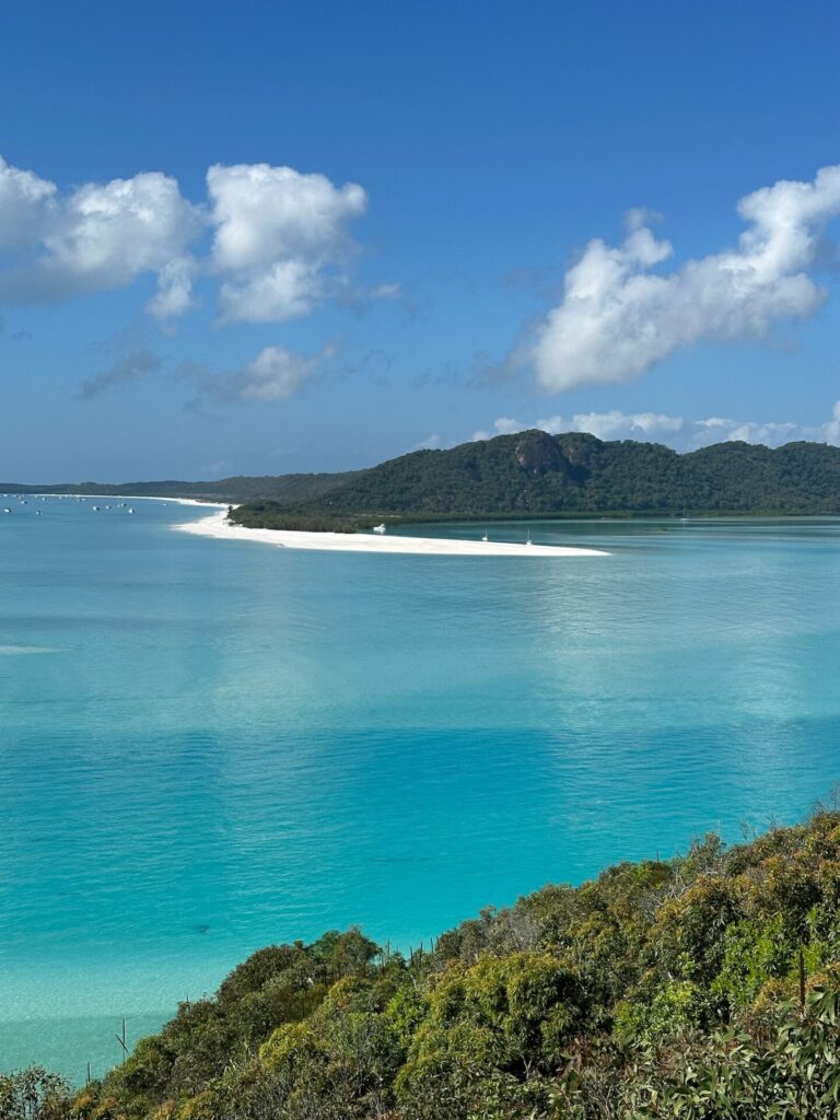 How to Get to Whitehaven Beach Australia: A Quick Breakdown + How I Did It!