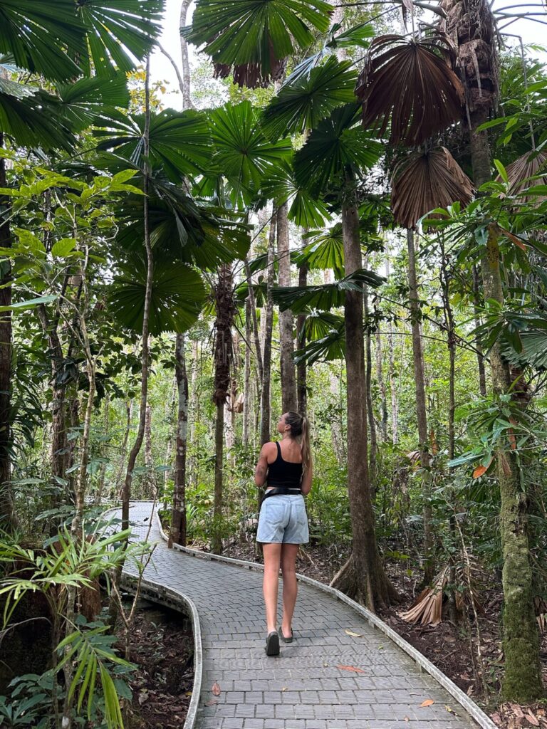 The Ultimate 2 Week East Coast Australia Itinerary: What I Did, Loved, & Would Add If I Had More Time.