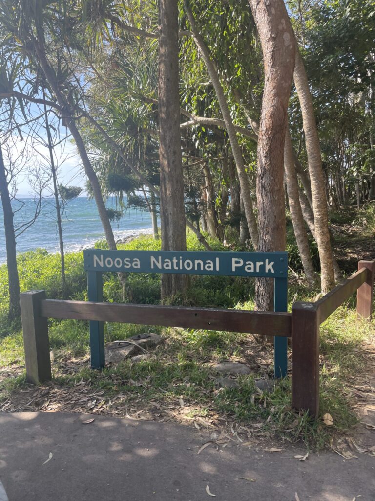 The Ultimate 2 Week East Coast Australia Itinerary: What I Did, Loved, & Would Add If I Had More Time.