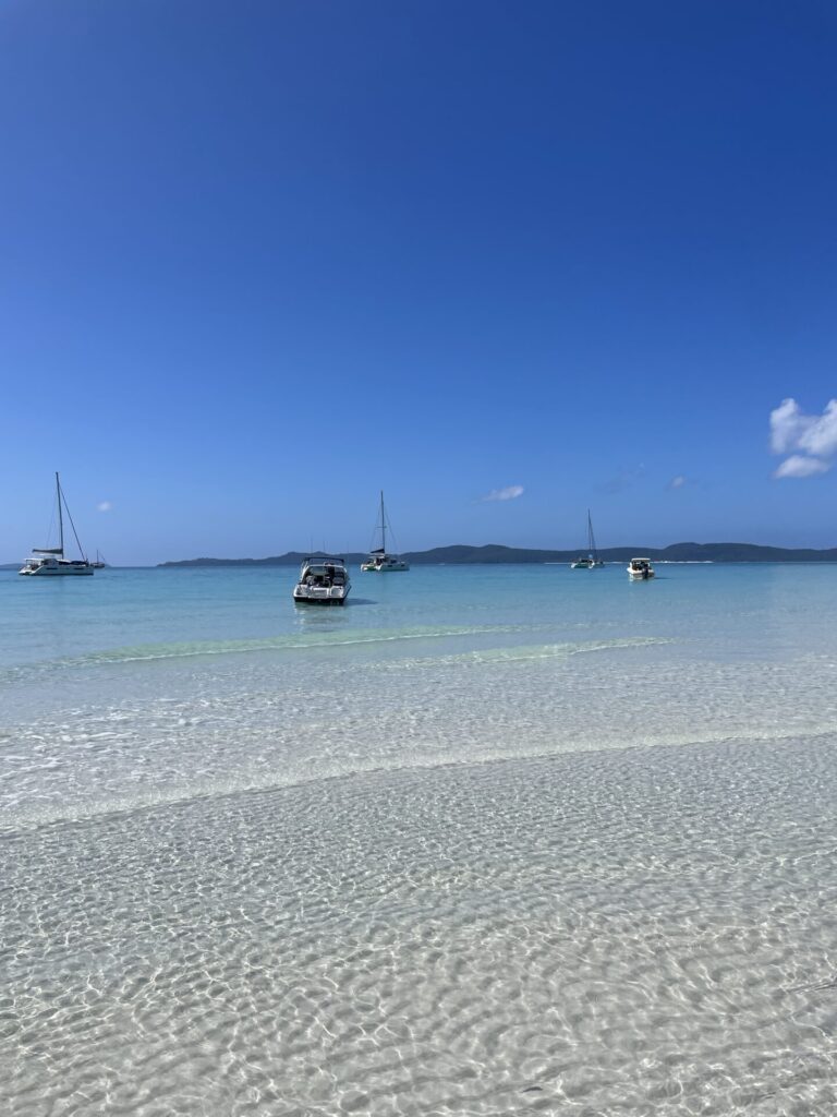 Best Time to Visit Whitsundays Islands: A Month-by-Month Breakdown 2025