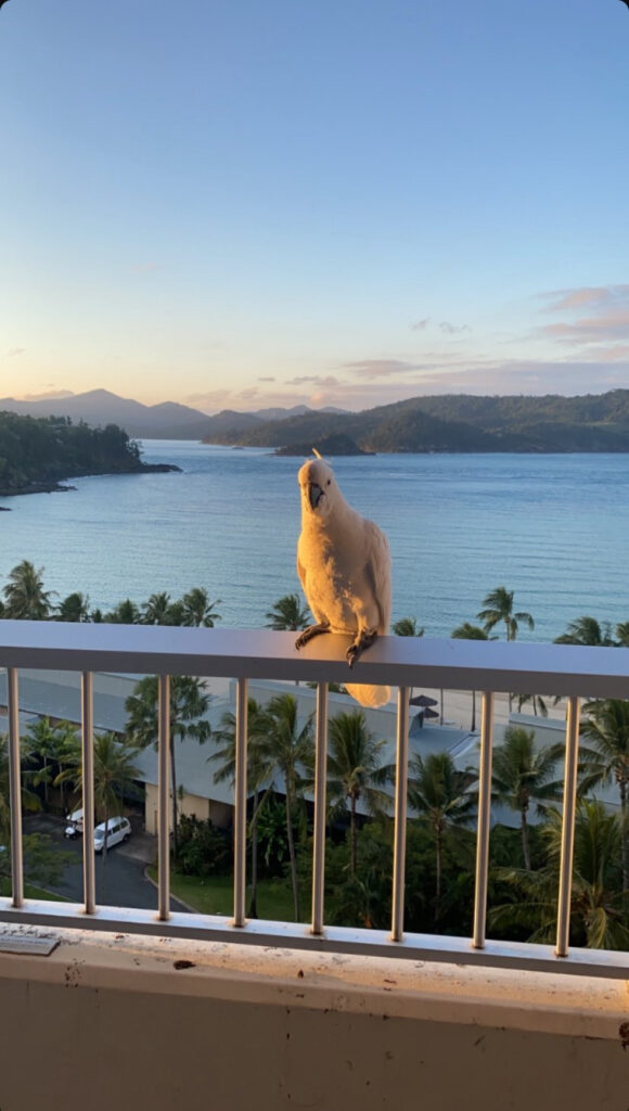 Best Time to Visit Whitsundays Islands: A Month-by-Month Breakdown 2025
