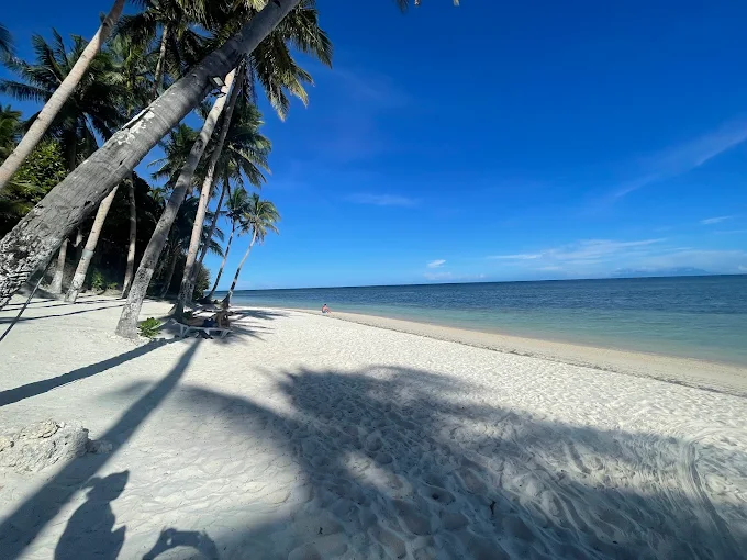 5 AMAZING Beaches in Bohol + 1 Snorkeling Spot You Can’t Miss in 2025!