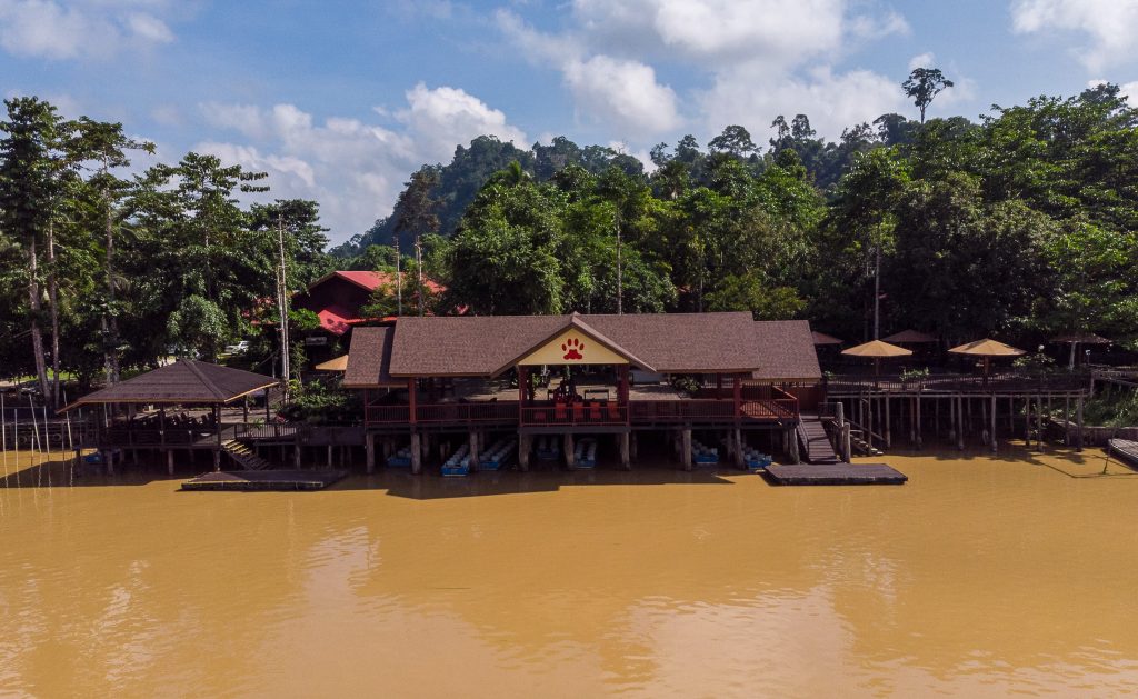 Where to Stay Kinabatangan River Borneo: My Top Areas and Lodges in 2025