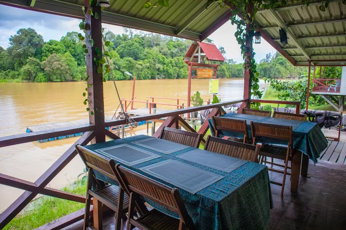 Where to Stay Kinabatangan River Borneo: My Top Areas and Lodges in 2025