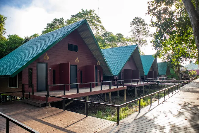 Where to Stay Kinabatangan River Borneo: My Top Areas and Lodges in 2025