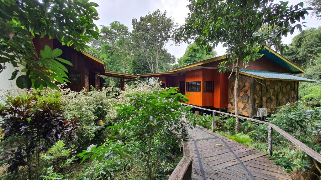 Where to Stay Kinabatangan River Borneo: My Top Areas and Lodges in 2025