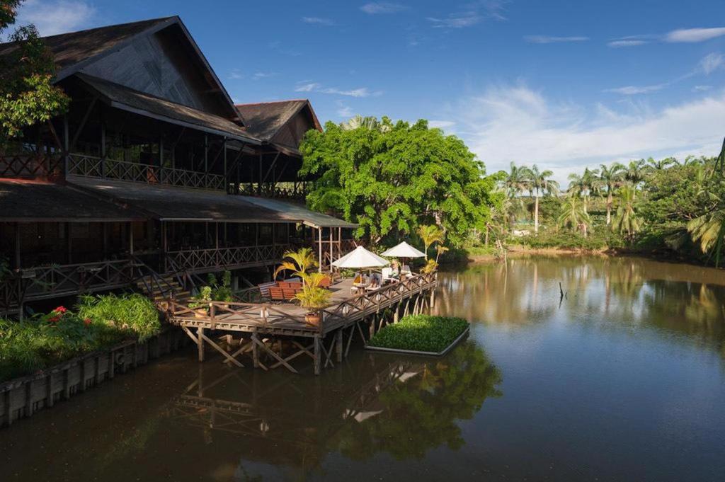 A Perfect Honeymoon in Borneo: Everything You Need to Know in 2025