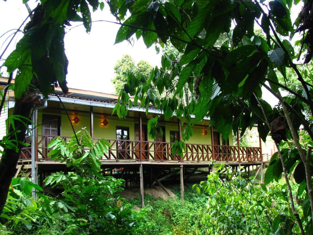 Where to Stay Kinabatangan River Borneo: My Top Areas and Lodges in 2025