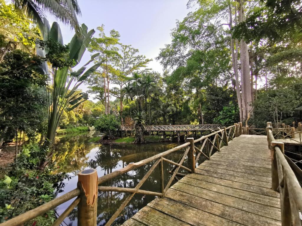 My TOP 4 Sepilok Resorts: Where to Stay to See Orangutans in Borneo